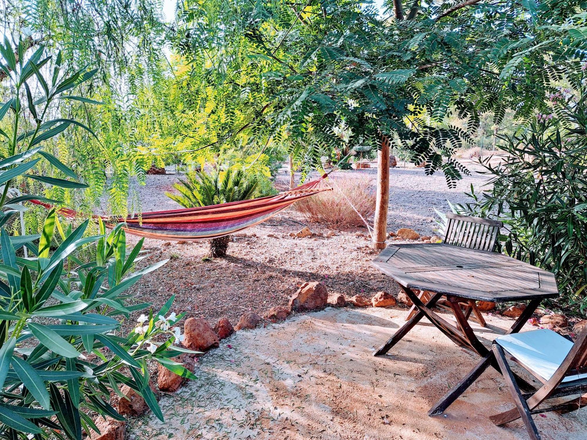 Appartement Casa Nogal à Puntagorda Extérieur photo
